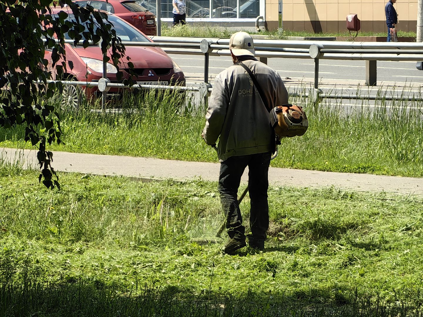 Газон, благоустройство, покос, трава