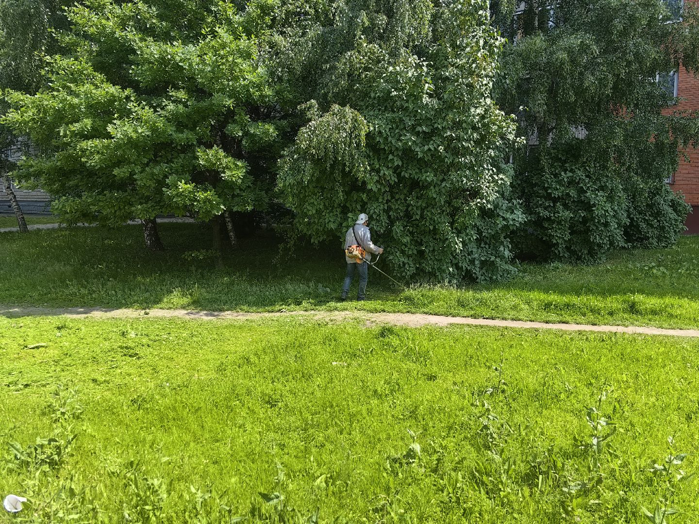 Газон, благоустройство, покос, трава