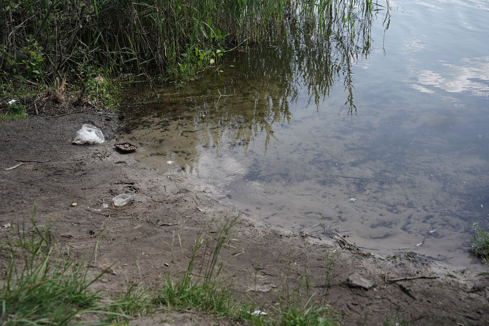 #Рошаль#Шатура#КМЦ#экоплоггинг#молодежка#озероЮбилейное#экология