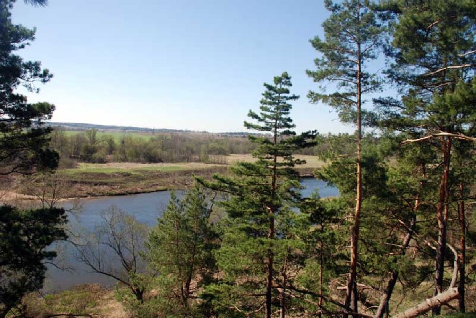 Звенигород, деревня Гигирево, проект, Роу, киносказки, фильм, кино, Морозко, Варвара- краса, длинная коса, Огонь, вода и медные трубы, Финист — ясный сокол