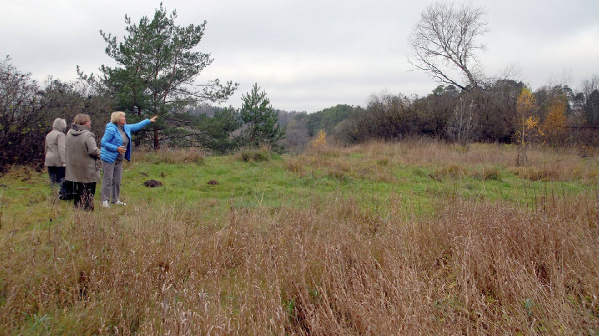 Звенигород, деревня Гигирево, проект, Роу, киносказки, фильм, кино, Морозко, Варвара- краса, длинная коса, Огонь, вода и медные трубы, Финист — ясный сокол