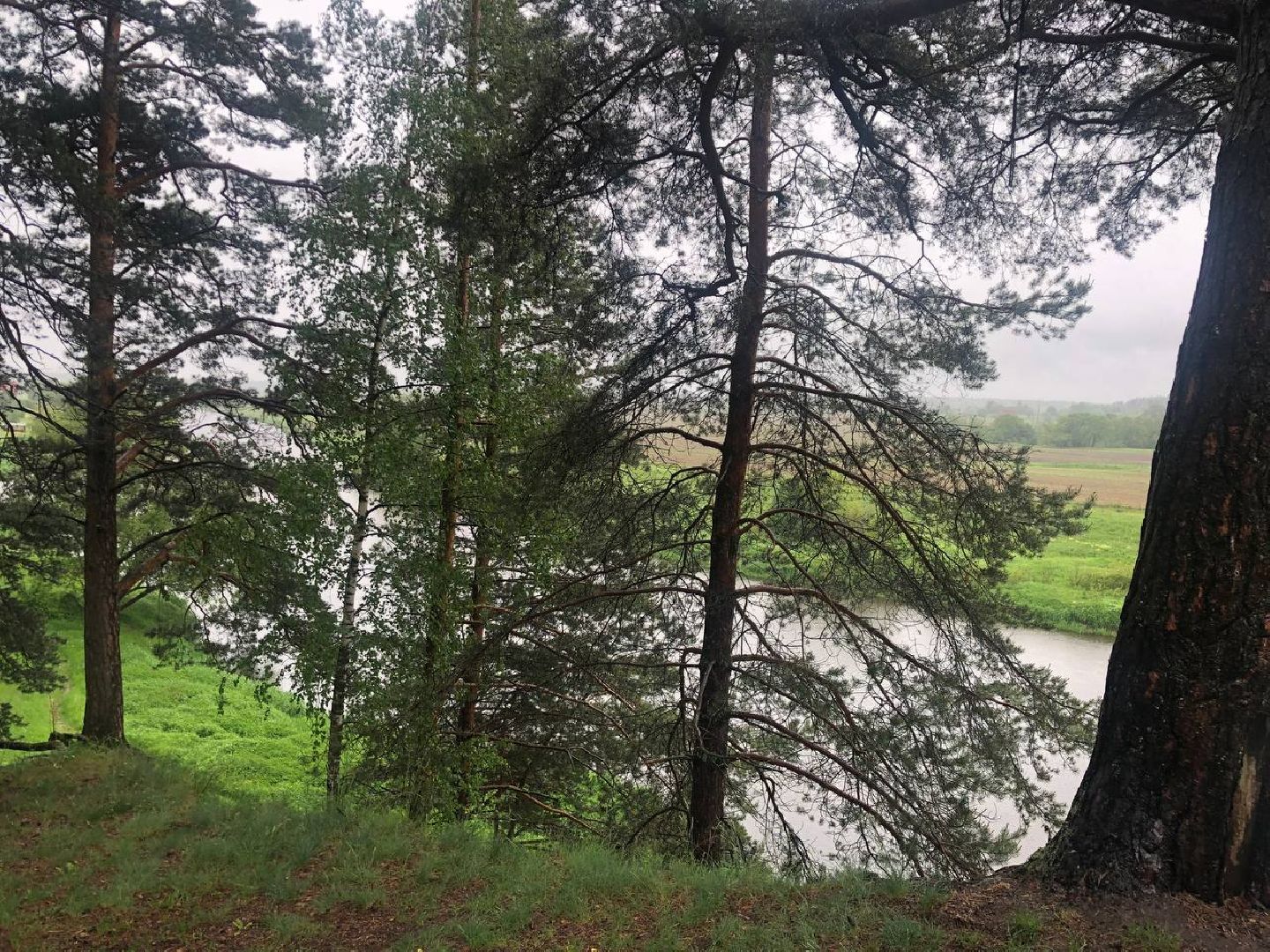 Звенигород, деревня Гигирево, проект, Роу, киносказки, фильм, кино, Морозко, Варвара- краса, длинная коса, Огонь, вода и медные трубы, Финист — ясный сокол