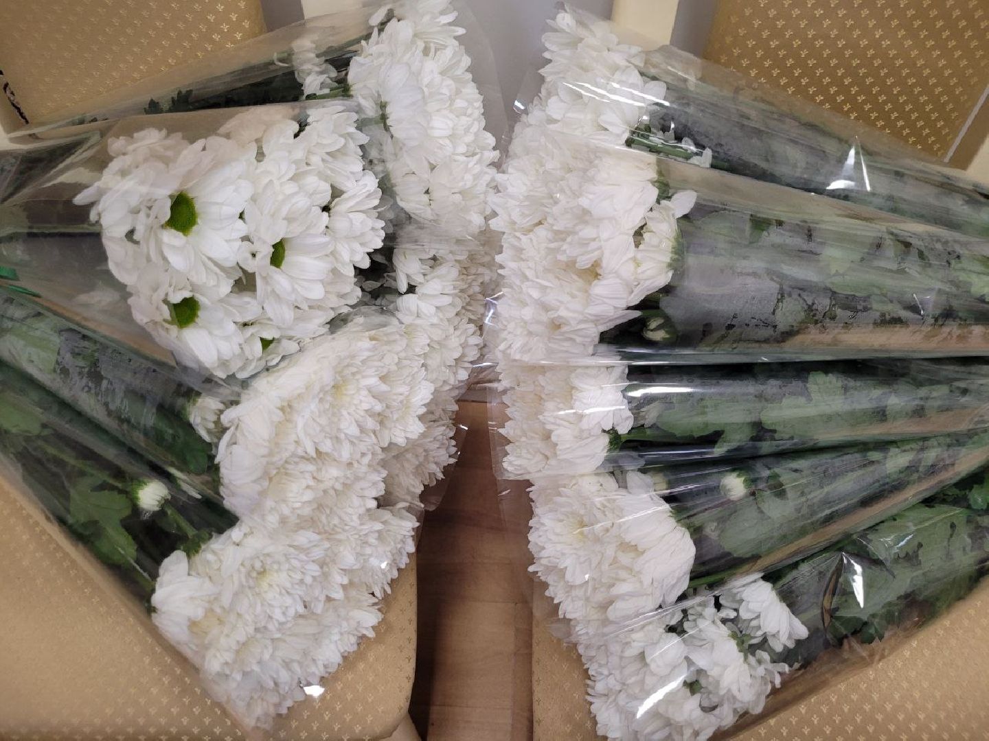 социальная служба; праздник; помощь; видное