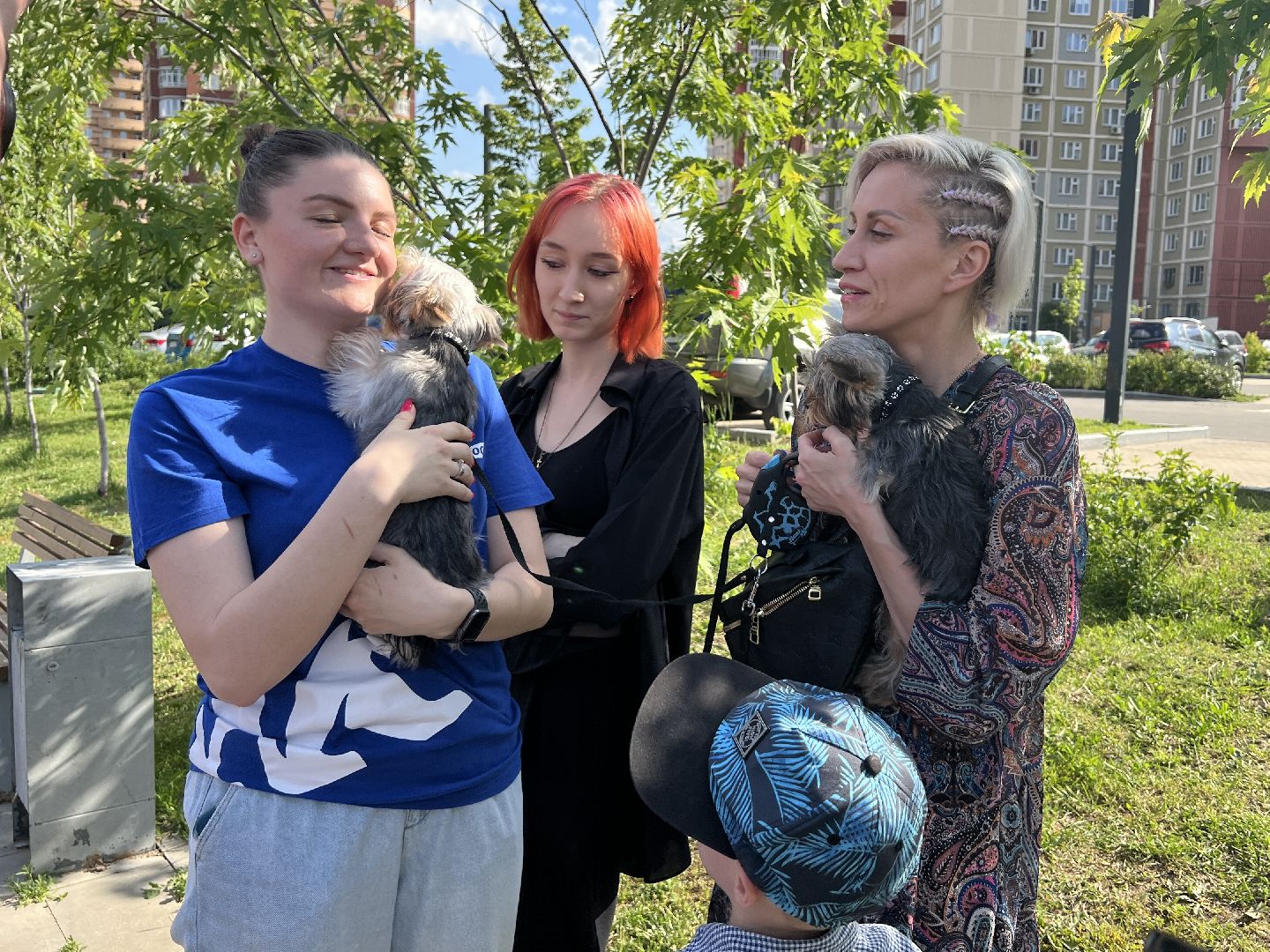 Химки, домашние животные, выгул собак, экологическая акция