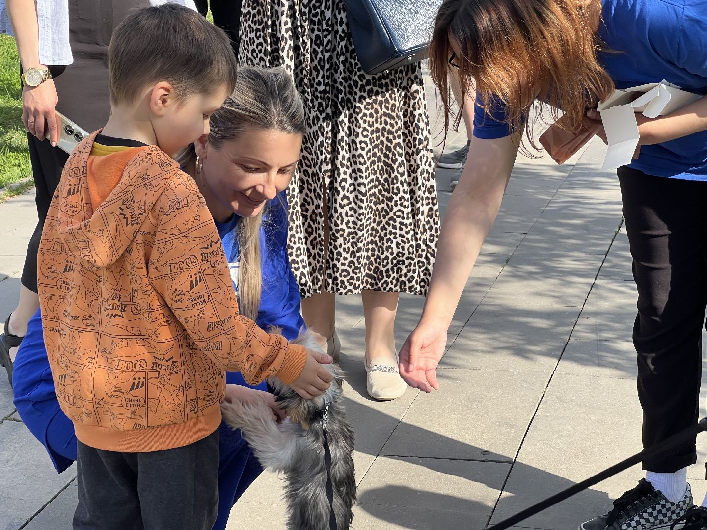 Химки, домашние животные, выгул собак, экологическая акция