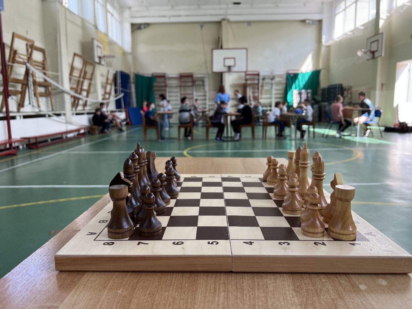 Химки, школьный лагерь, шашки, шахматы, турнир