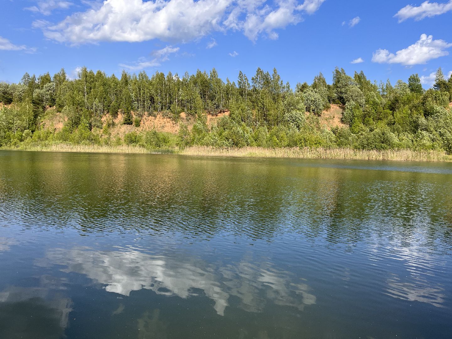 Шаховская, карьеры, песчаные карьеры, отдых