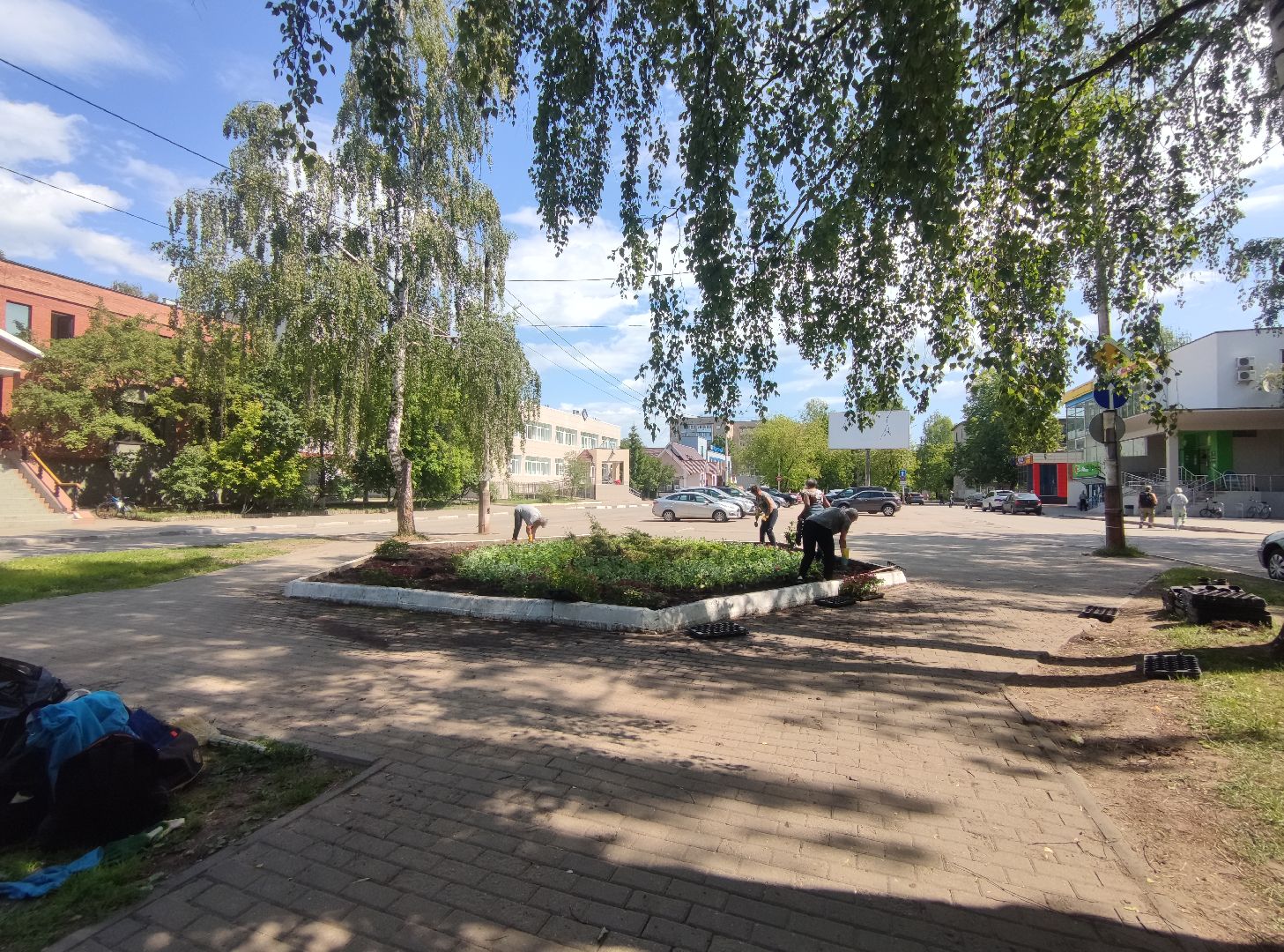 Озеленение, благоустройство, Дубна