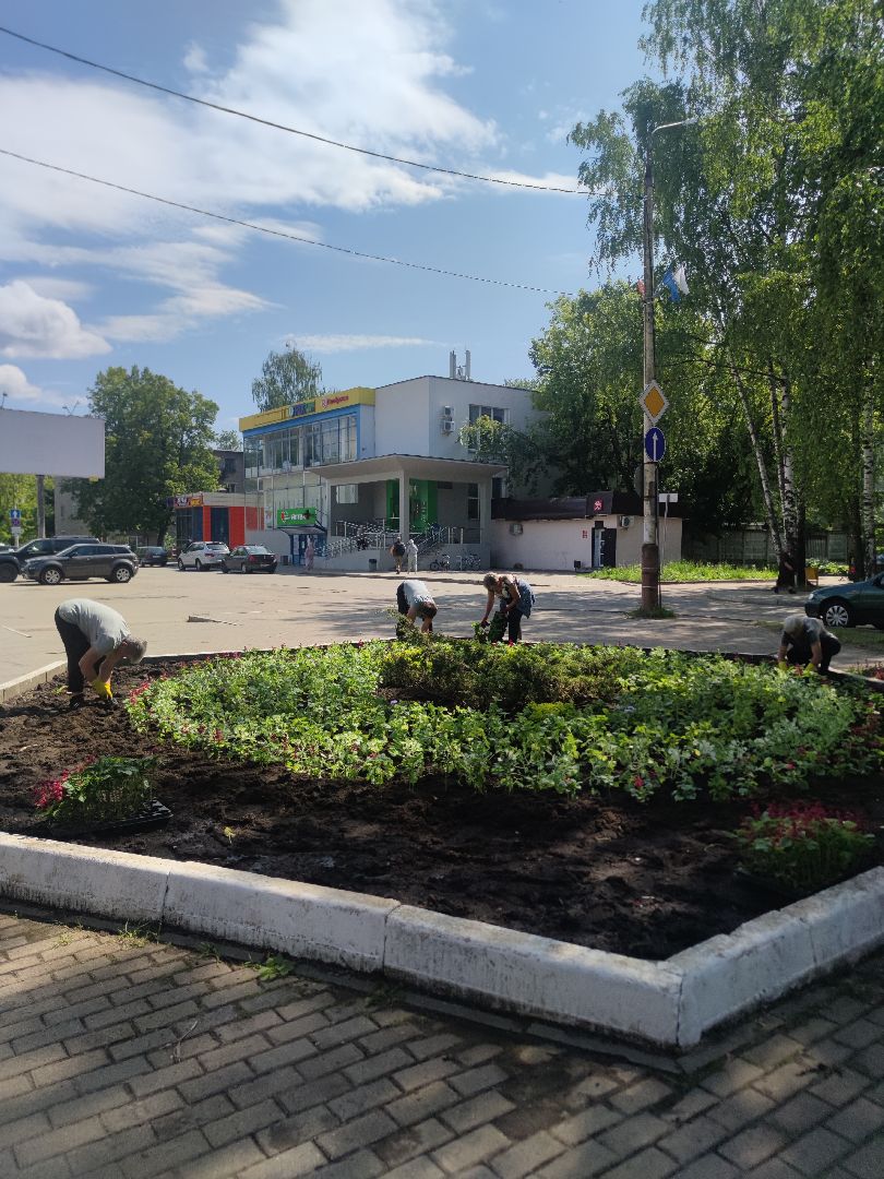 Озеленение, благоустройство, Дубна