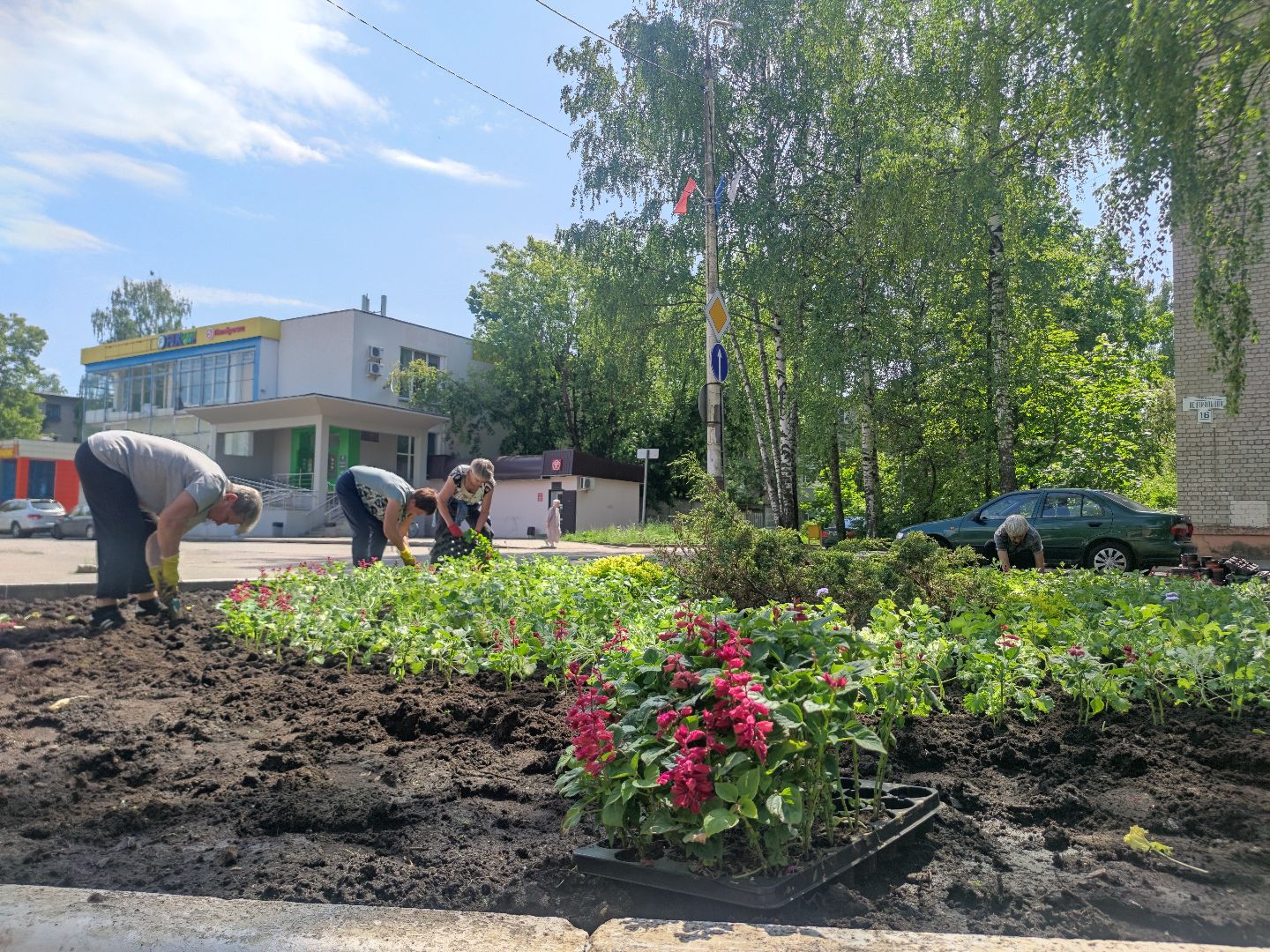 Озеленение, благоустройство, Дубна