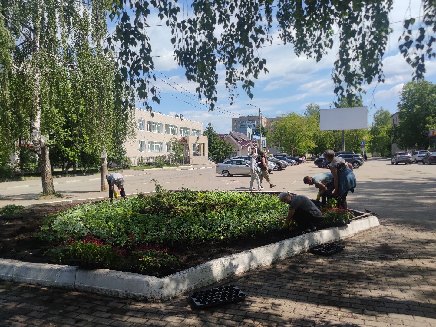 Озеленение, благоустройство, Дубна