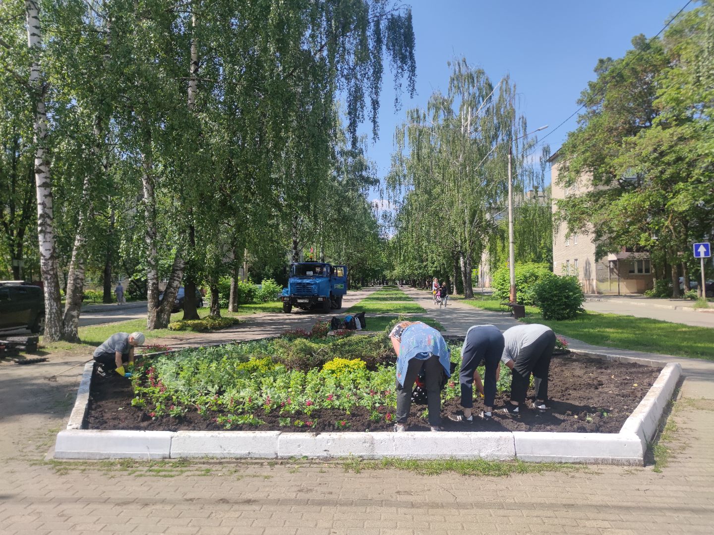 Озеленение, благоустройство, Дубна