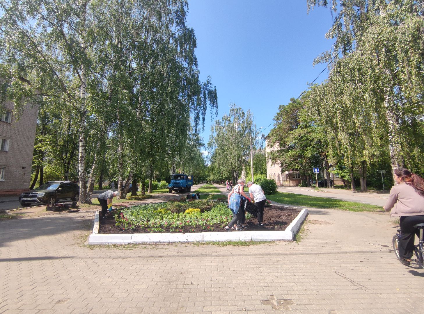 Озеленение, благоустройство, Дубна