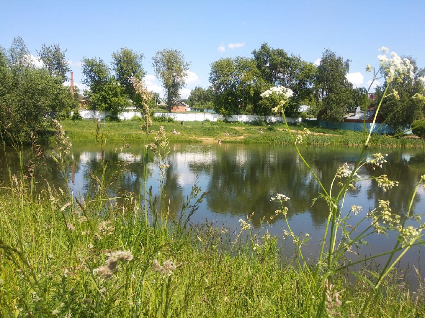 Дмитров, Подлипичский пруд, Благоустройство