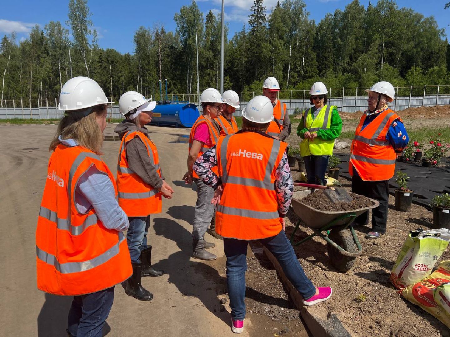 Солнечногорск, нева, техногрунт, клумбы, розы