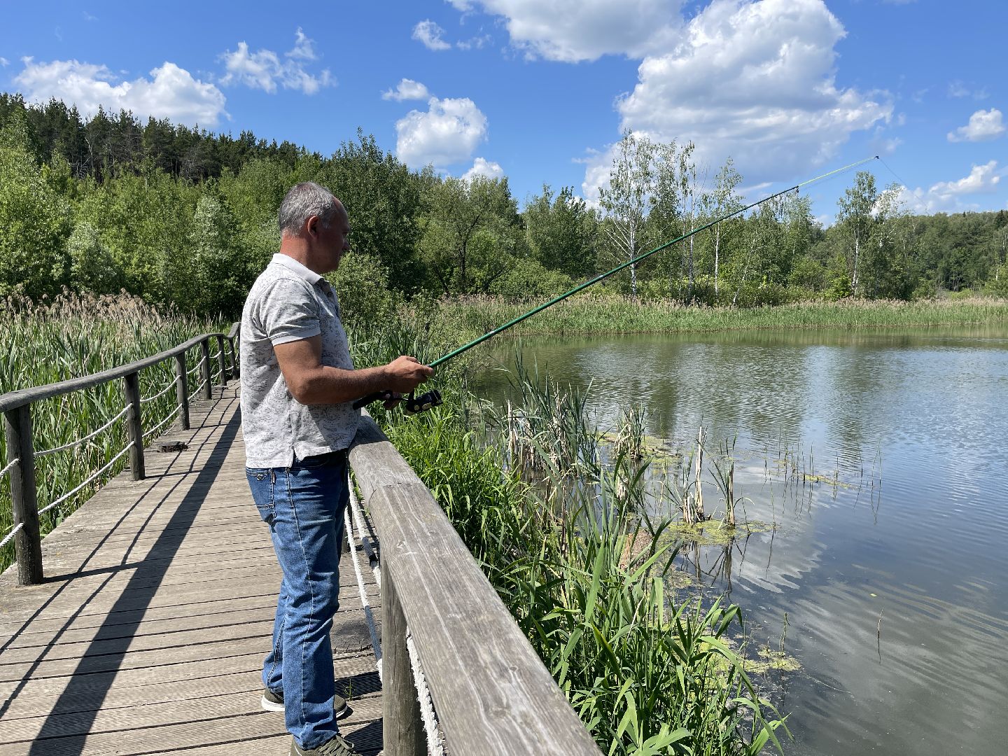 Экология, Одинцово, пруд, сброс, цветение,