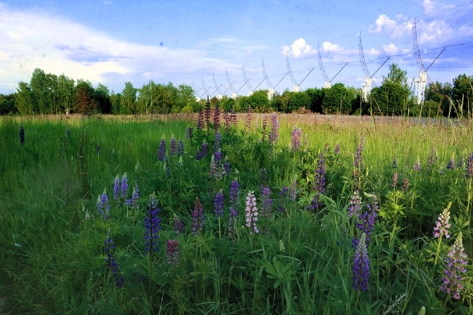 Пущино, экология