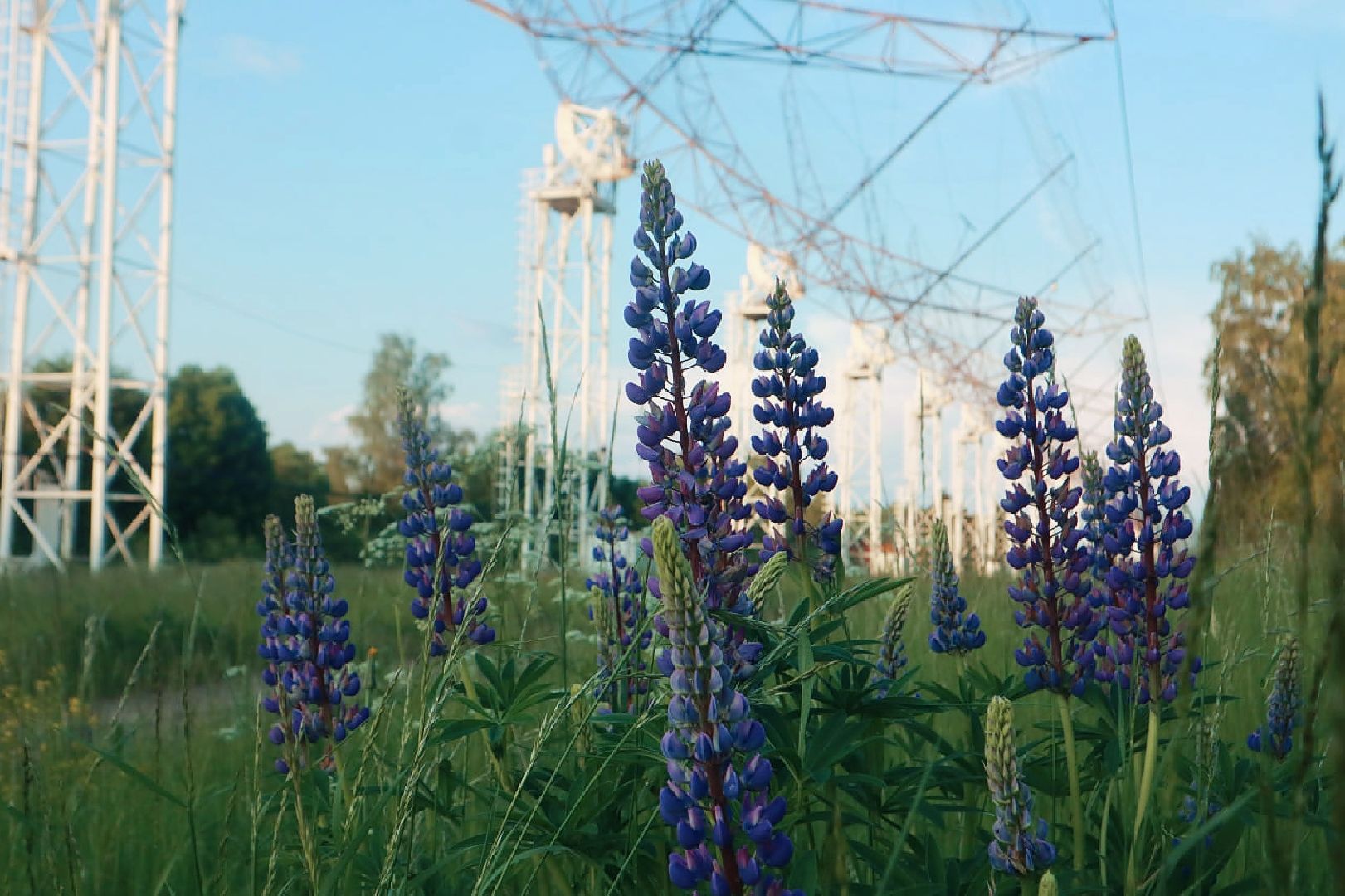 Пущино, экология