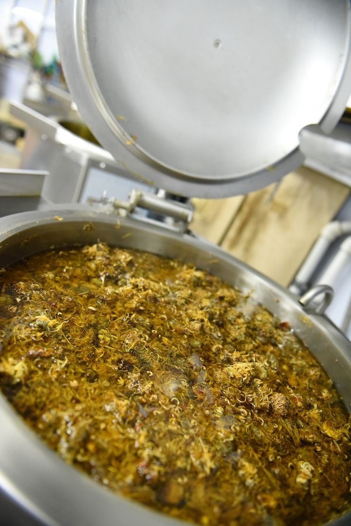 Солнечногорск, экономика, предприятие, косметика, дерматит