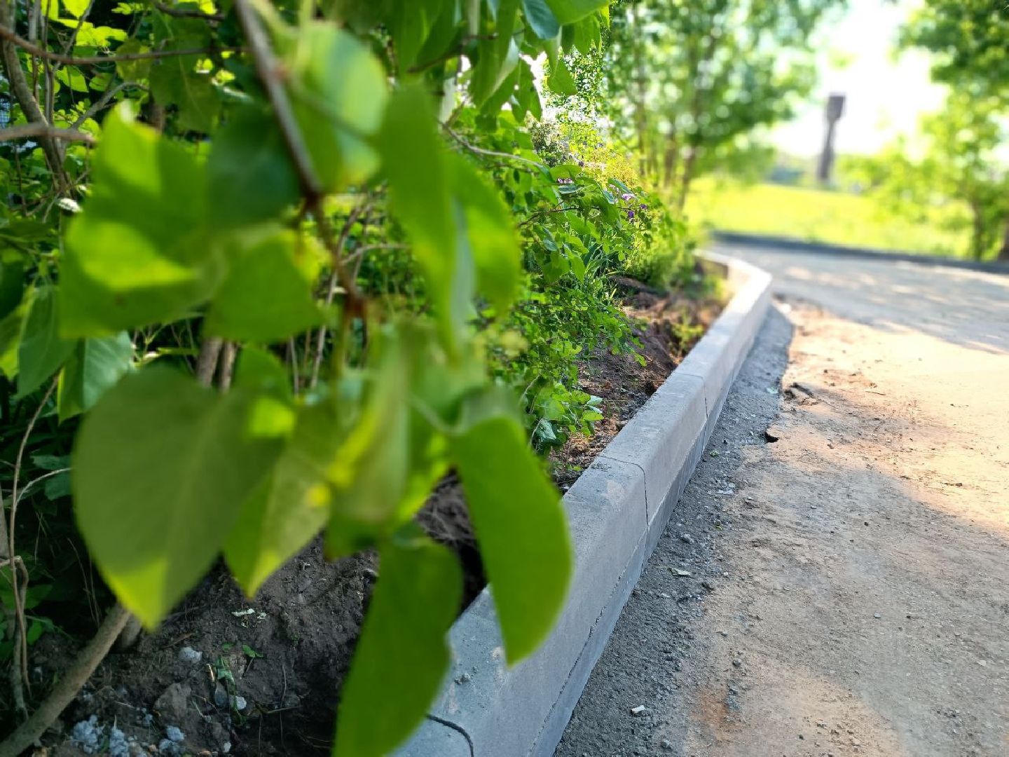 Можайск, Можайский городской округ, Подмосковье, благоустройство, федеральный проект, работы, дворовые территории, жители, Добродел