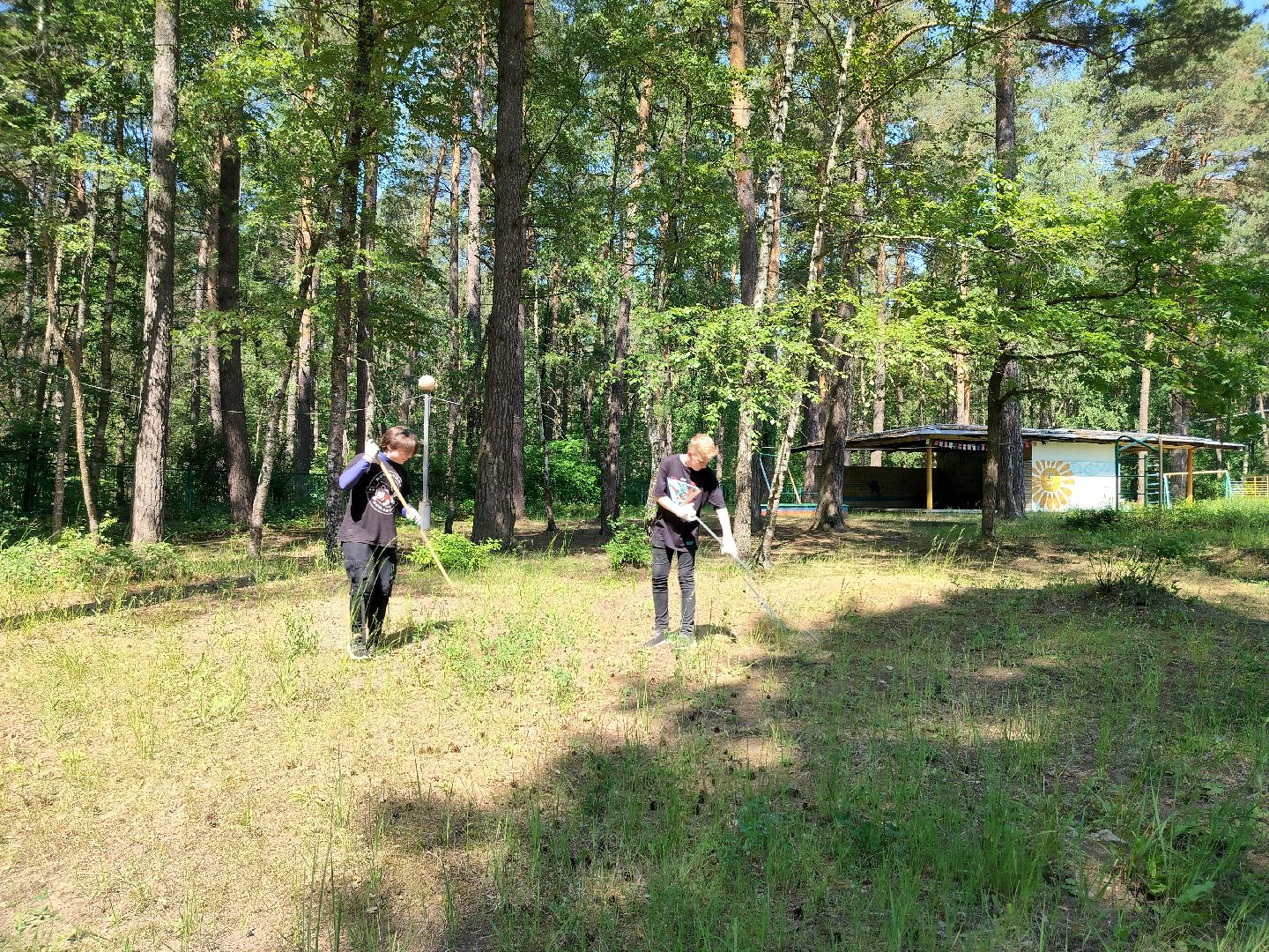 трудовой десант, ЦМИ, Протвино, лето, лагерь