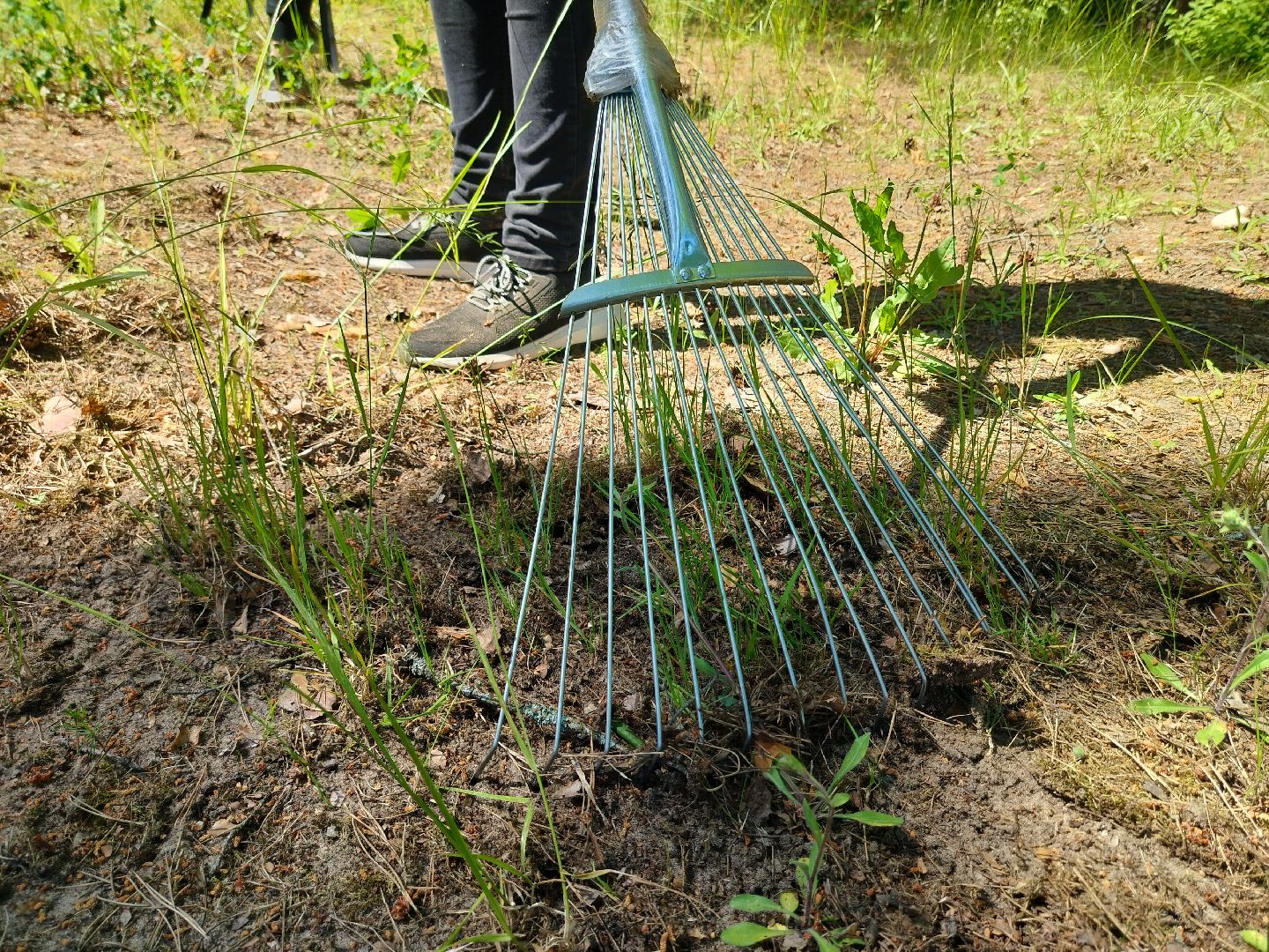 трудовой десант, ЦМИ, Протвино, лето, лагерь