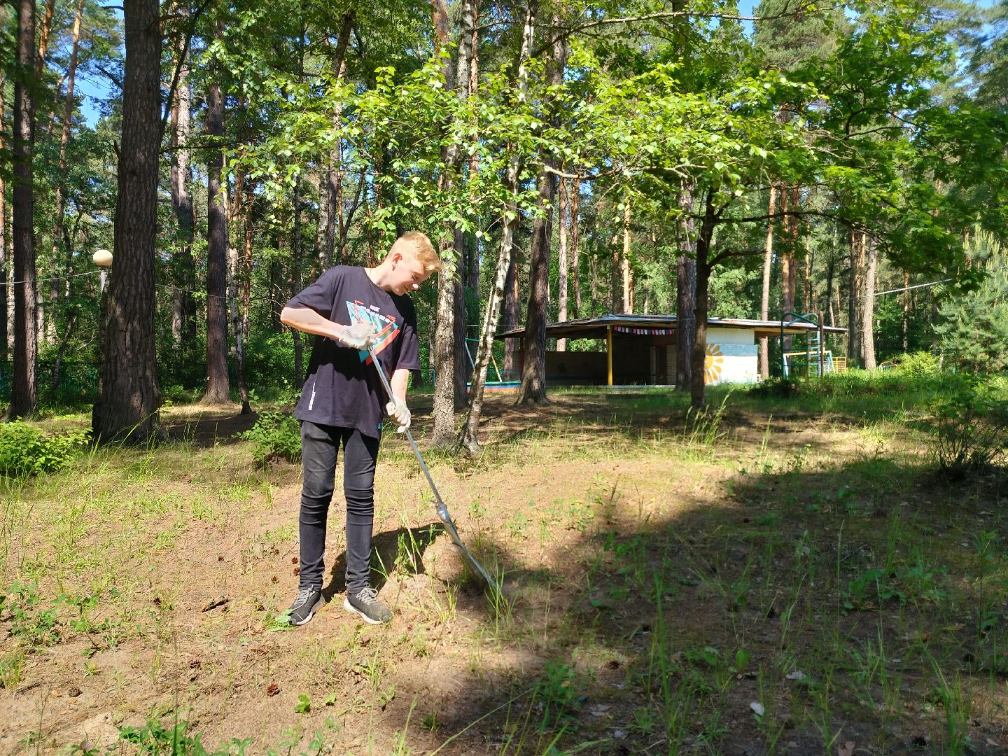 трудовой десант, ЦМИ, Протвино, лето, лагерь