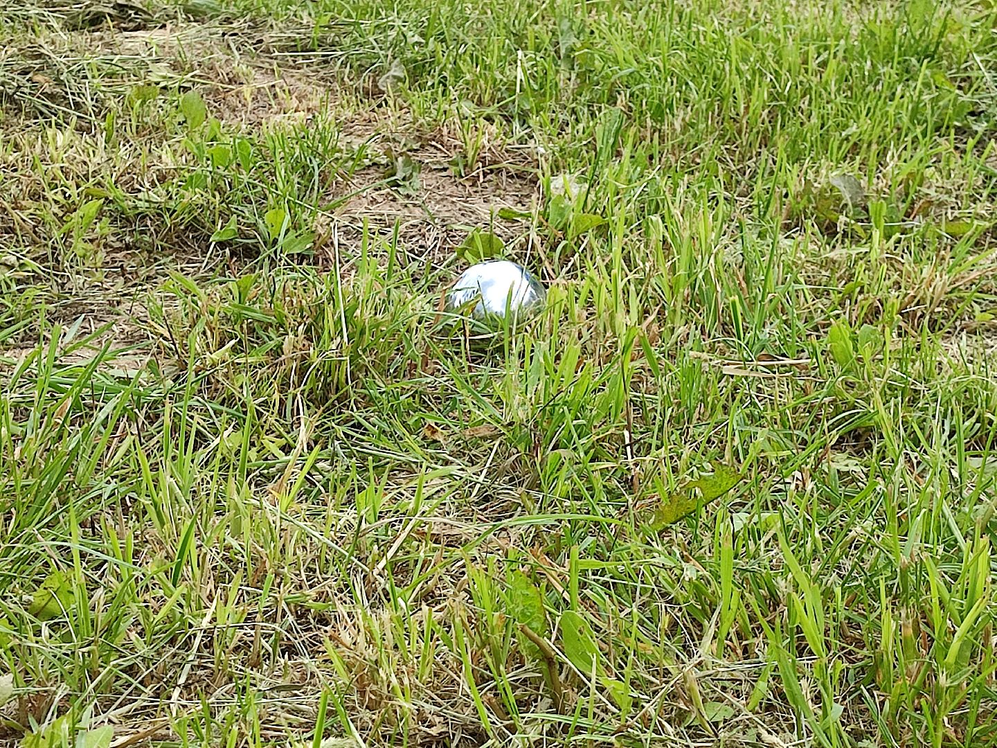 #активноедолголетие, #петанк, #талдом, #паркпобеды, #правилаигры