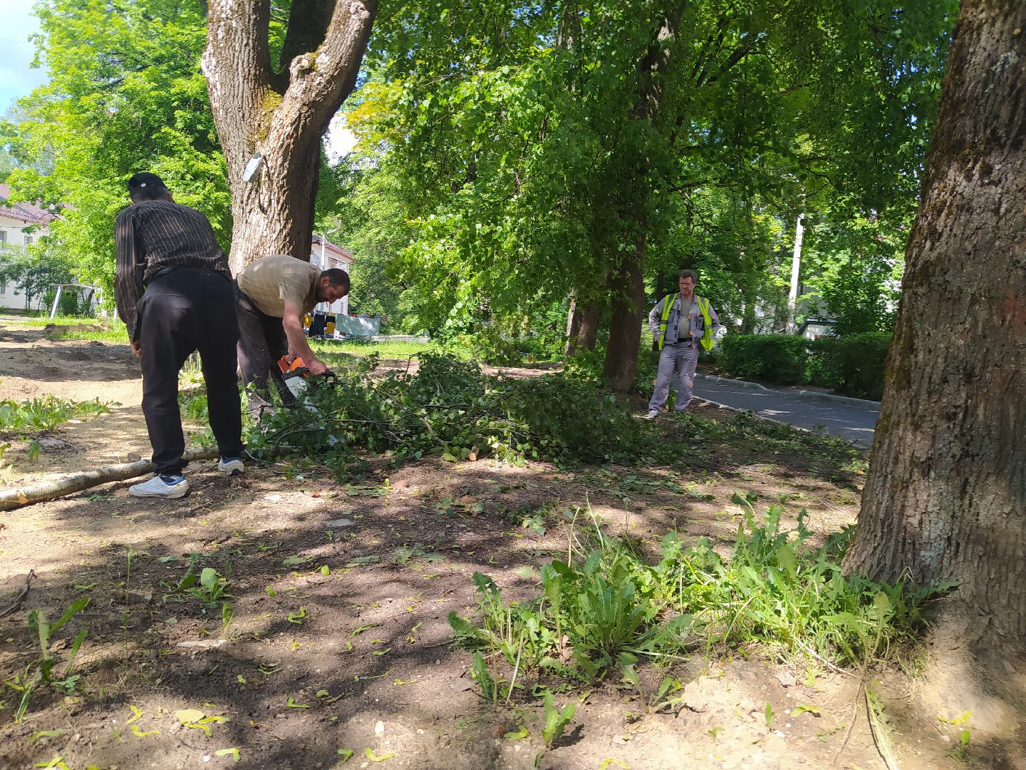 Дедовск, опиловка, благоустройство
