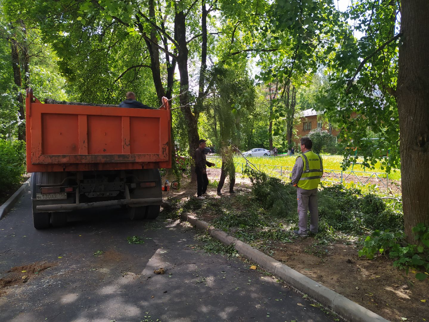 Дедовск, опиловка, благоустройство