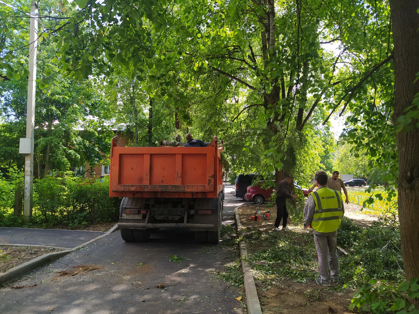 Дедовск, опиловка, благоустройство