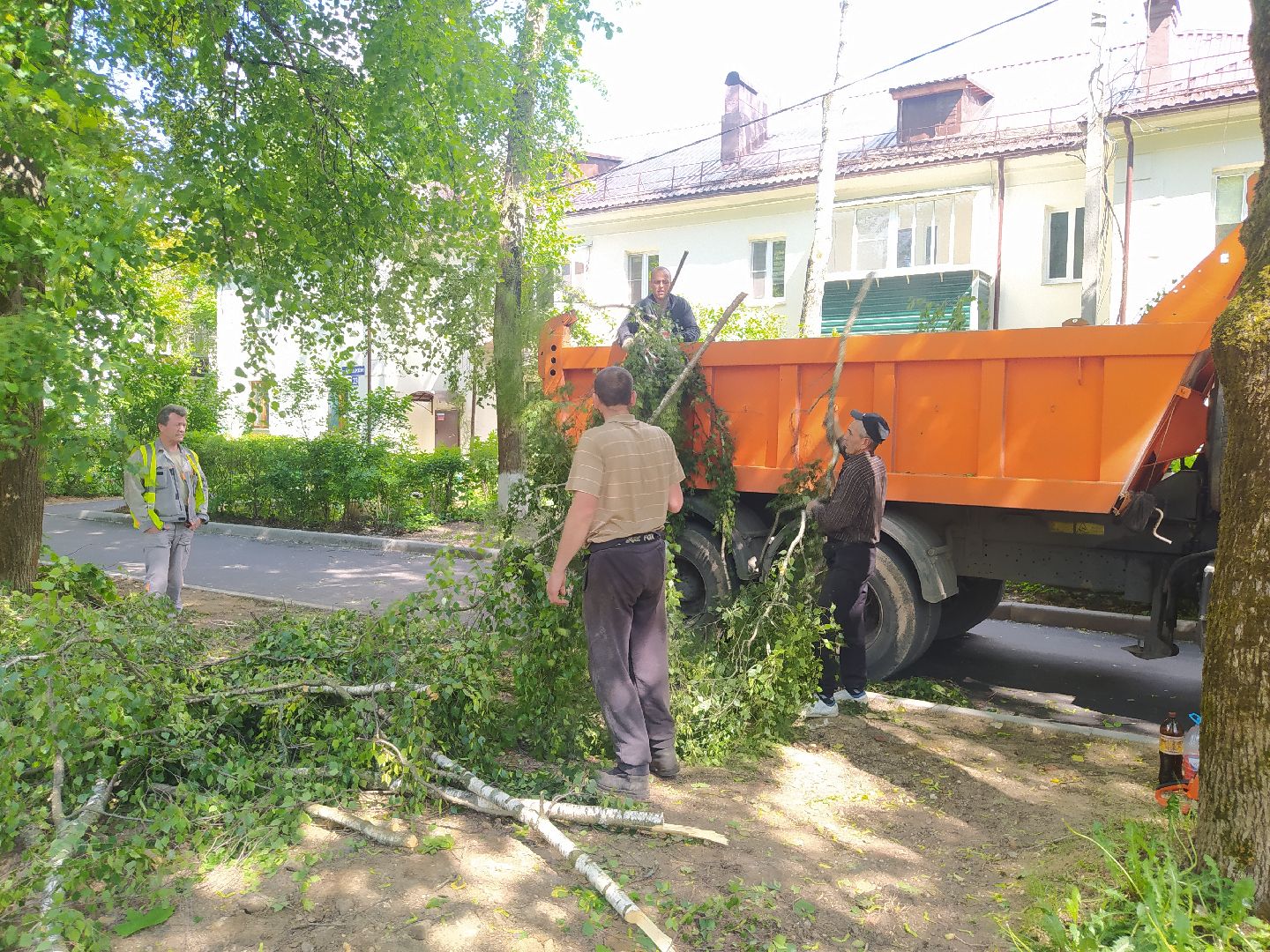 Дедовск, опиловка, благоустройство