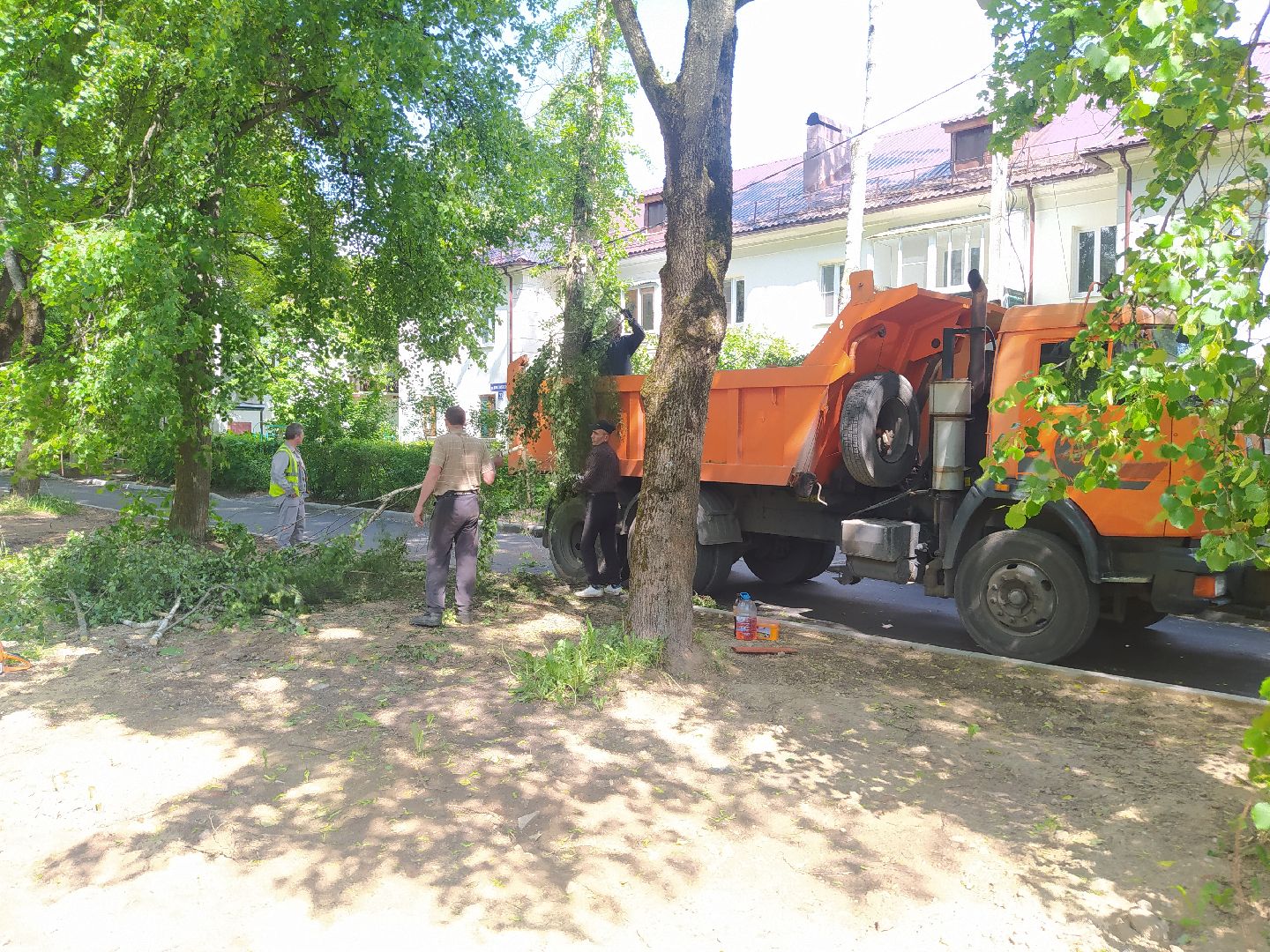 Дедовск, опиловка, благоустройство