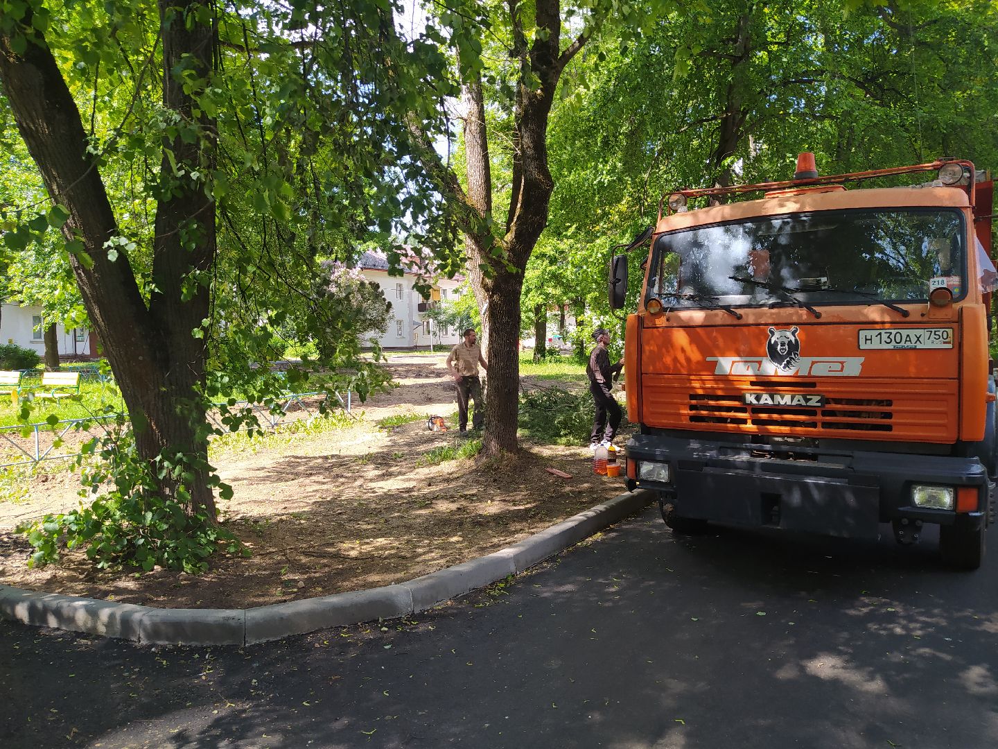 Дедовск, опиловка, благоустройство