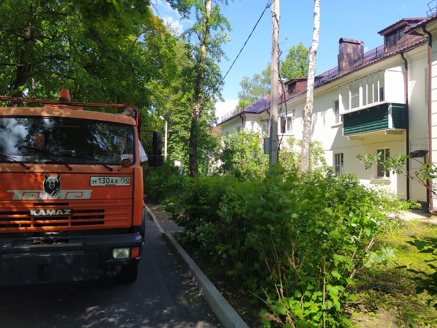 Дедовск, опиловка, благоустройство