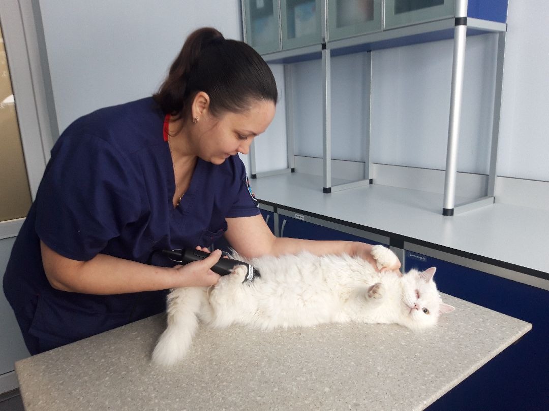 инновации, разработка,