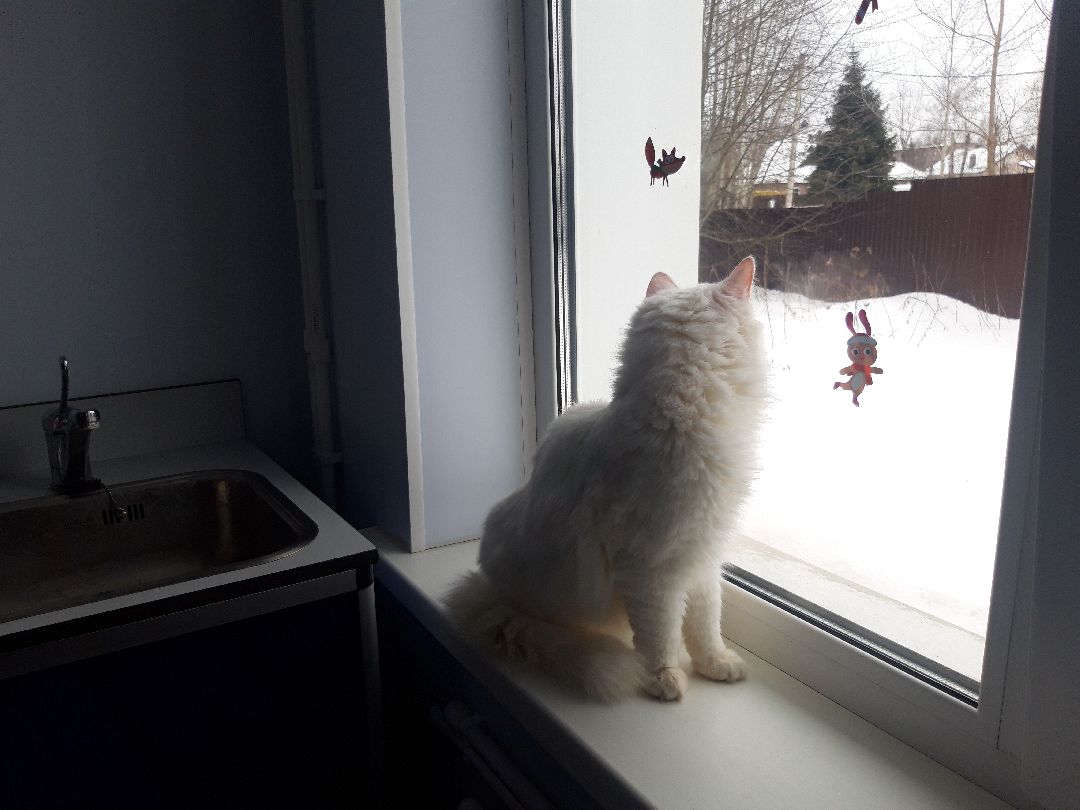 инновации, разработка,