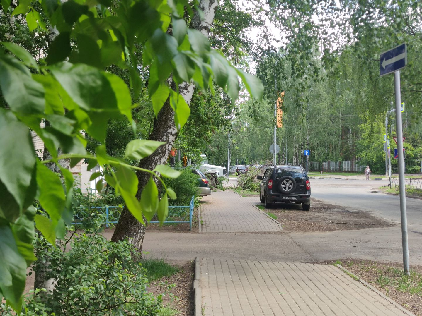 Опиловка, обработка деревьев, Дубна