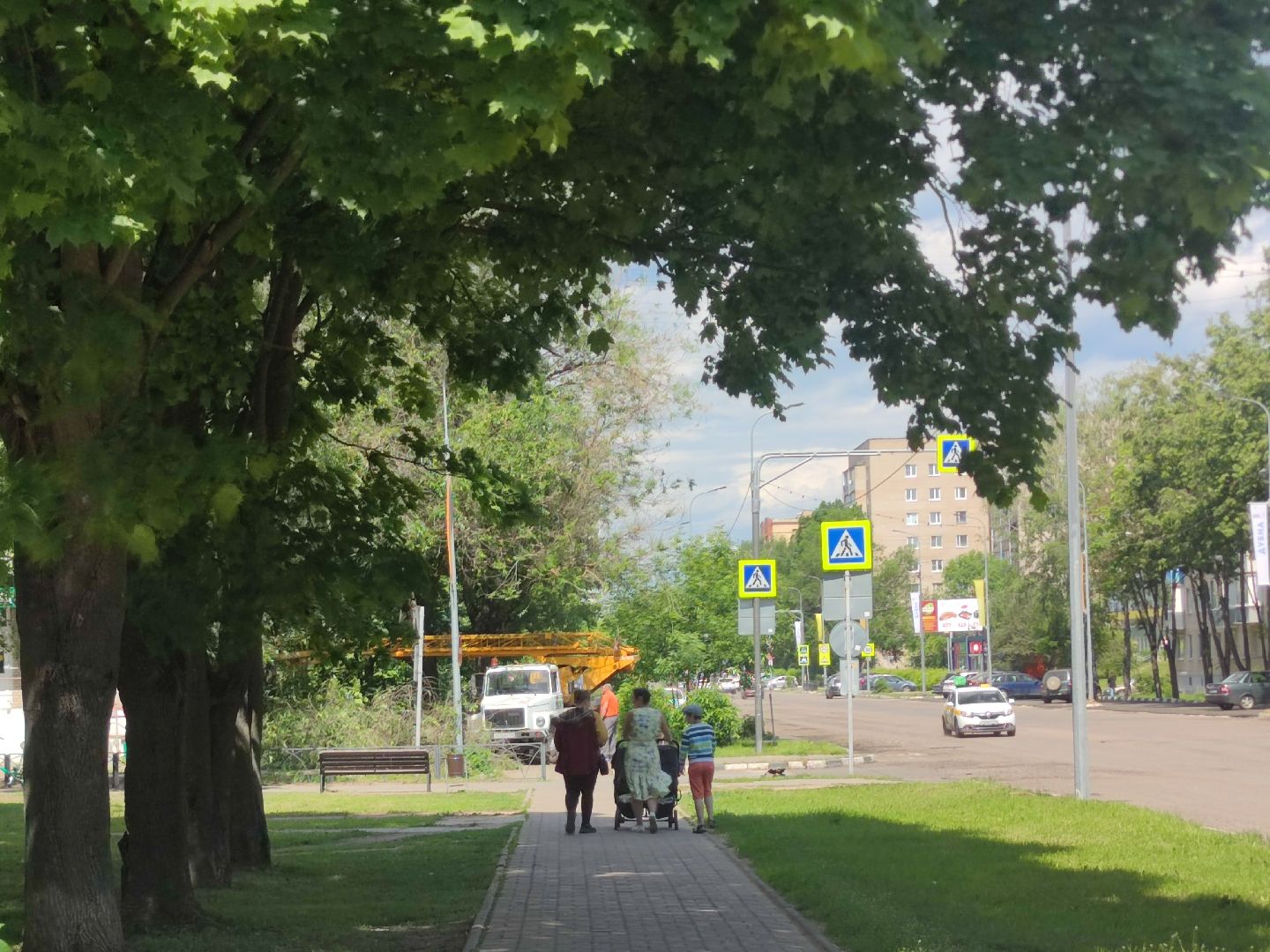 Опиловка, обработка деревьев, Дубна