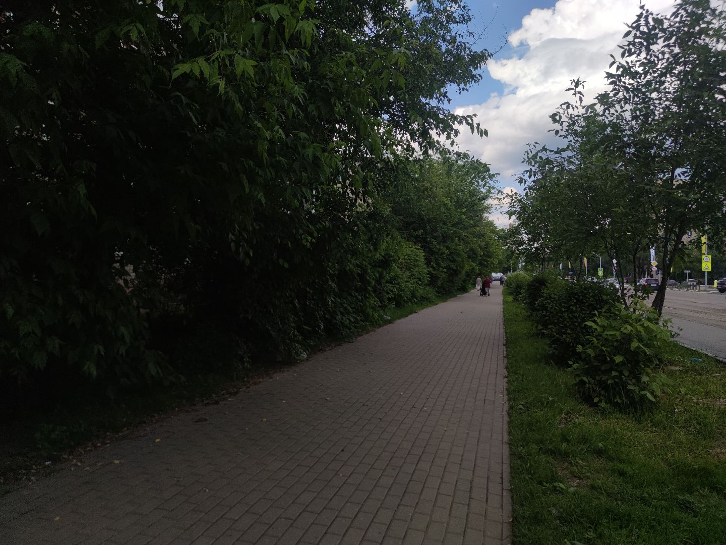 Опиловка, обработка деревьев, Дубна