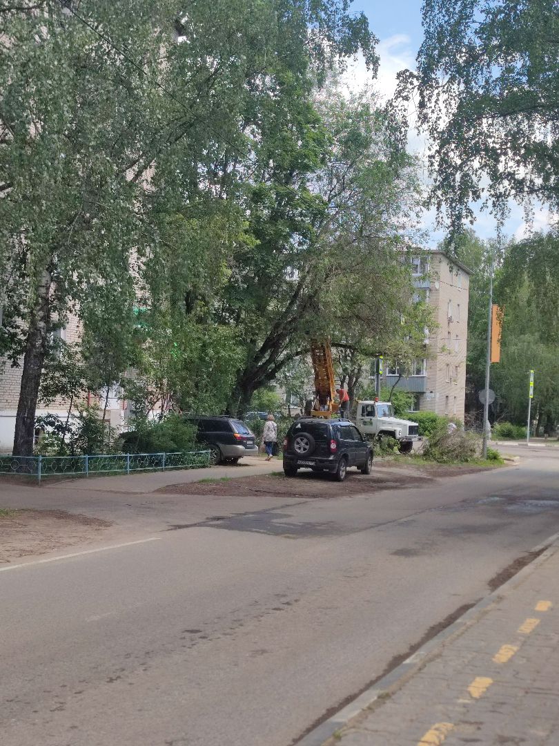 Опиловка, обработка деревьев, Дубна