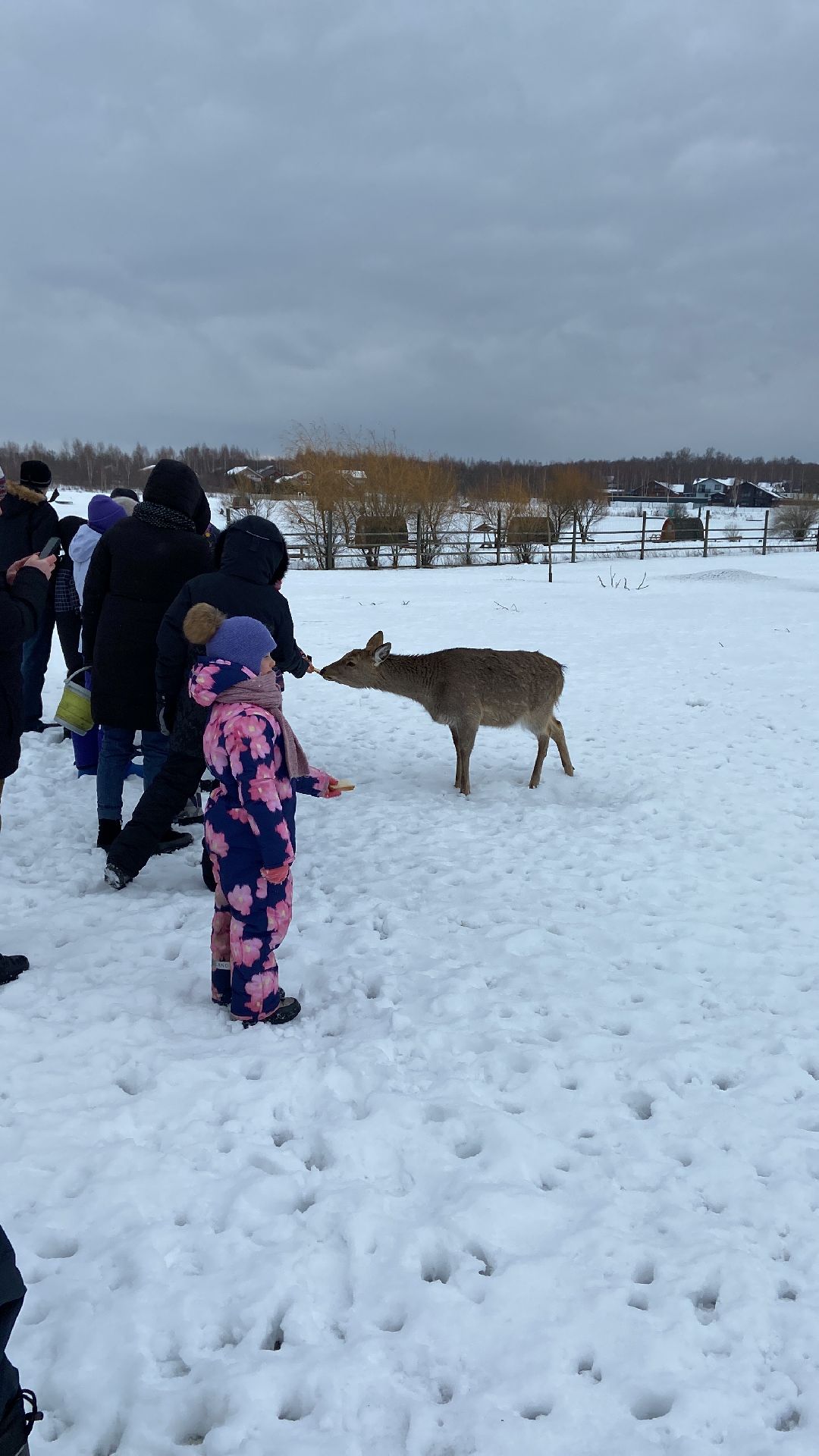 Волоколамск, рыбалка, дети, выходные в подмосковье, детский спорт, праздники, благотворительность, волонтеры,
