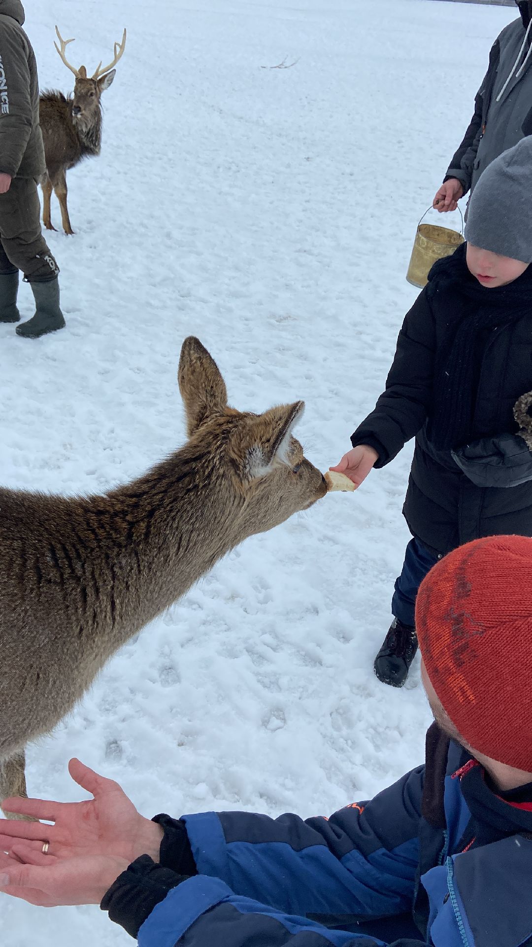 Волоколамск, рыбалка, дети, выходные в подмосковье, детский спорт, праздники, благотворительность, волонтеры,