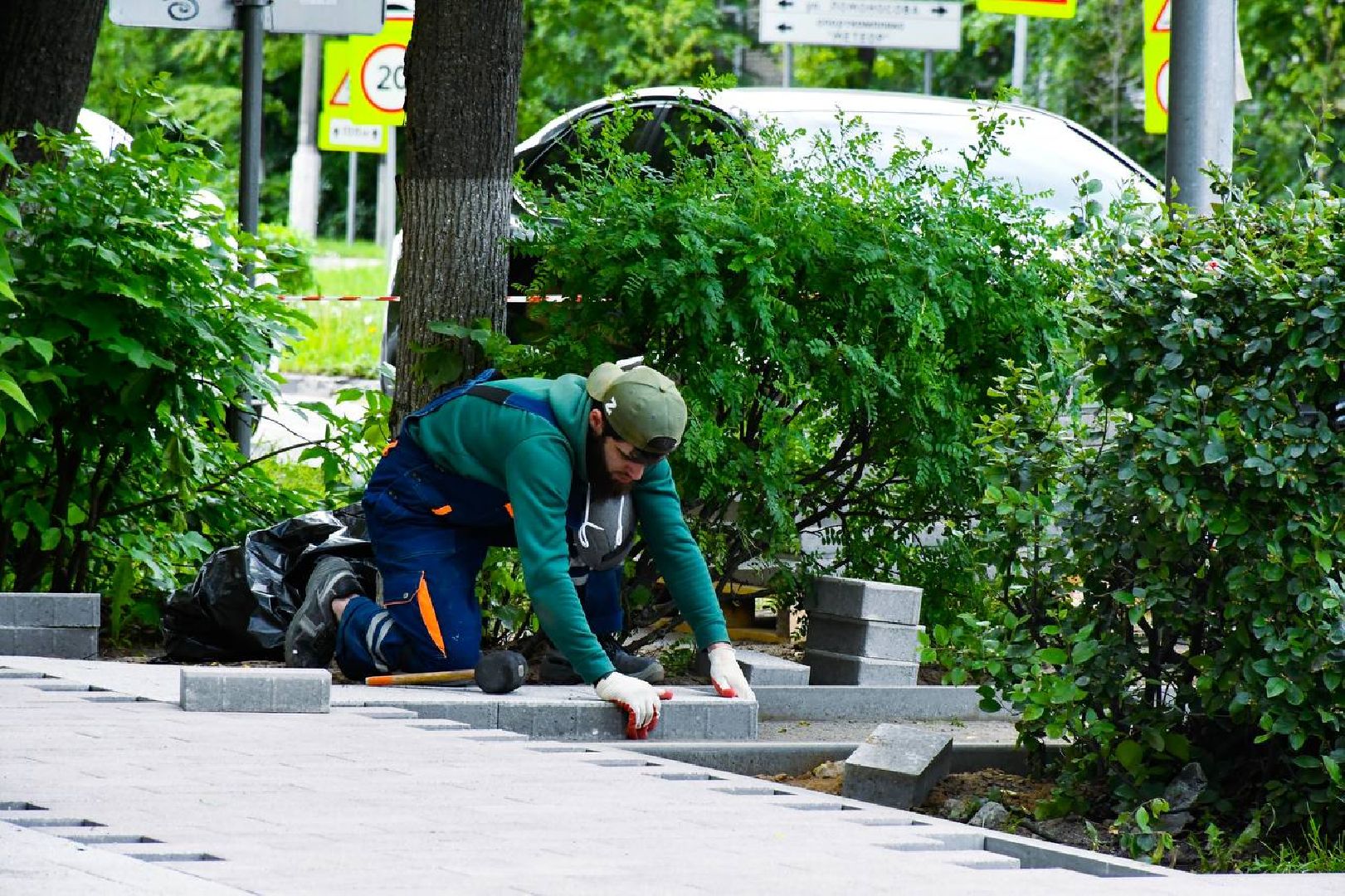 сквер, Звёздный, благоустройство, бульвар, озеленение