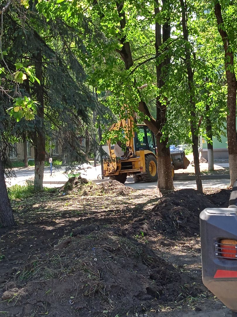 сквер, Звёздный, благоустройство, бульвар, озеленение
