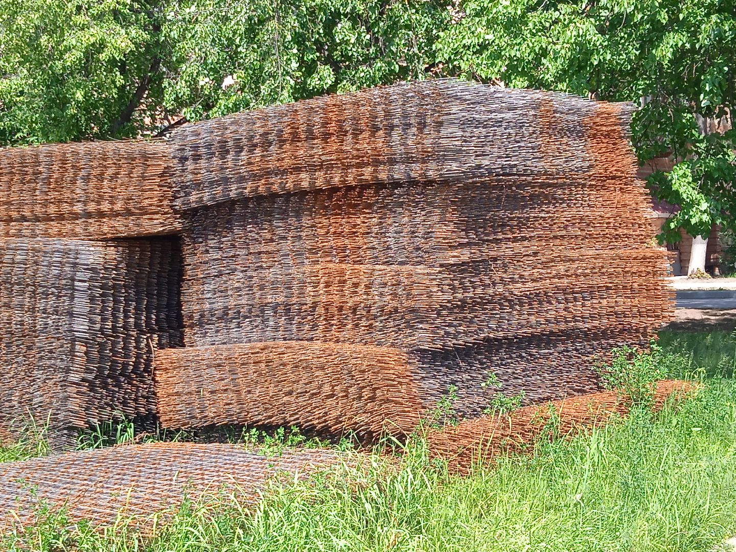 сквер, Звёздный, благоустройство, бульвар, озеленение