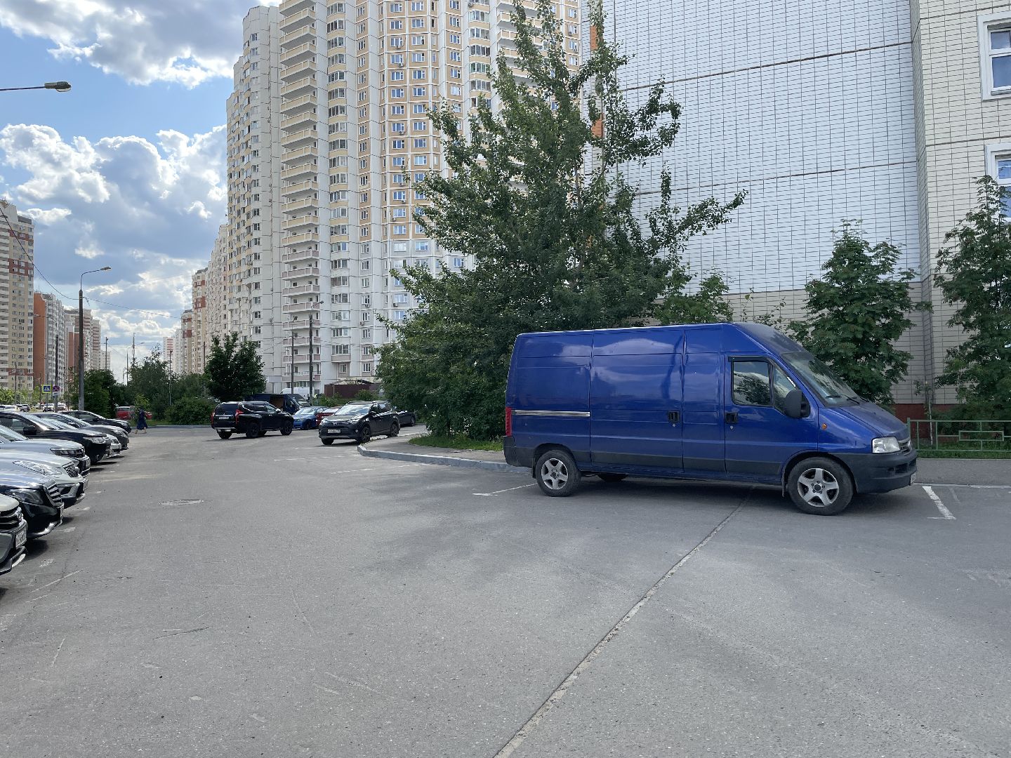 Бордюры, окраска, серый, Люберцы