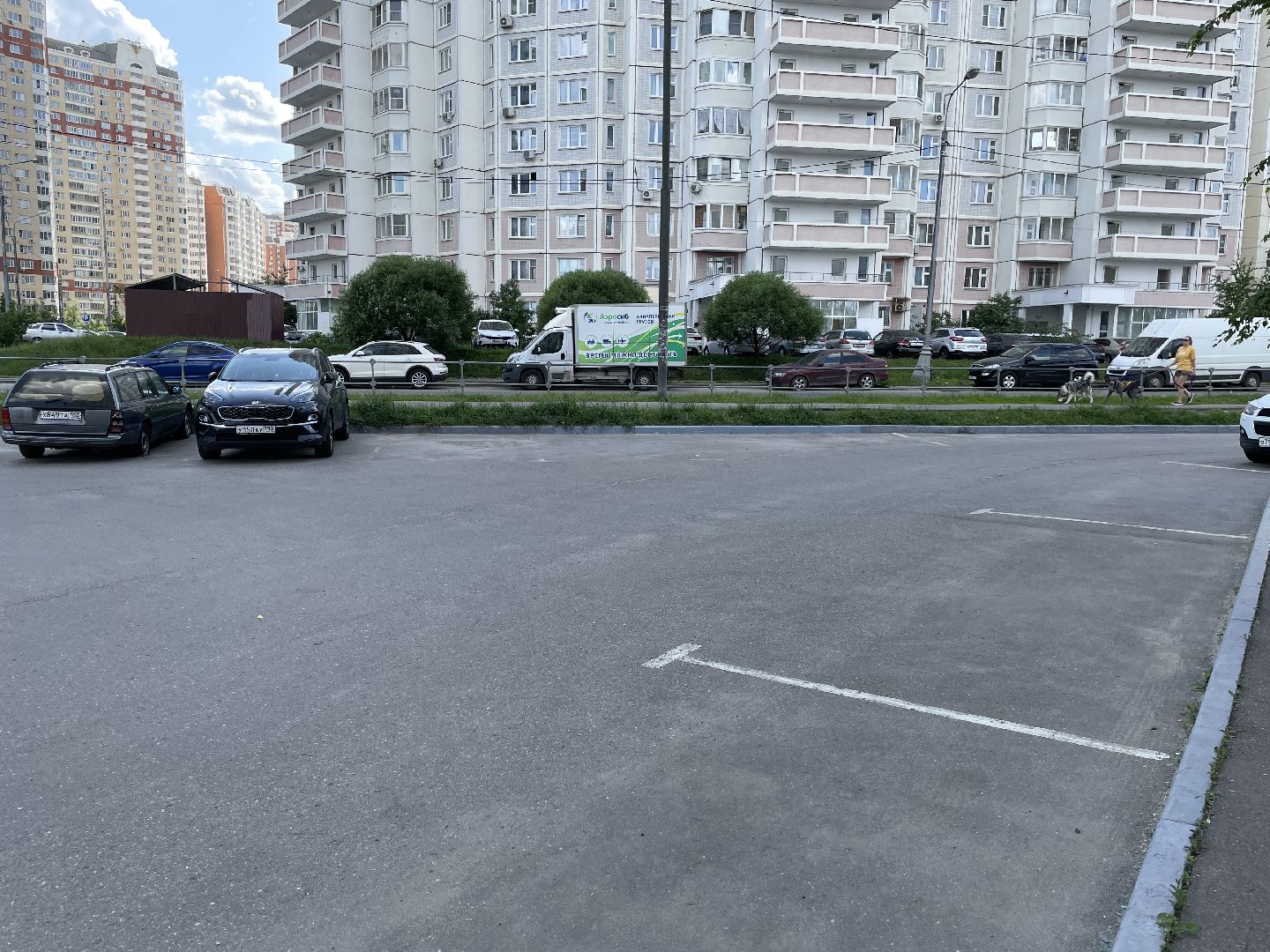 Бордюры, окраска, серый, Люберцы