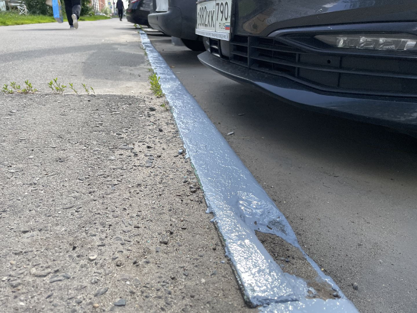 Бордюры, окраска, серый, Люберцы