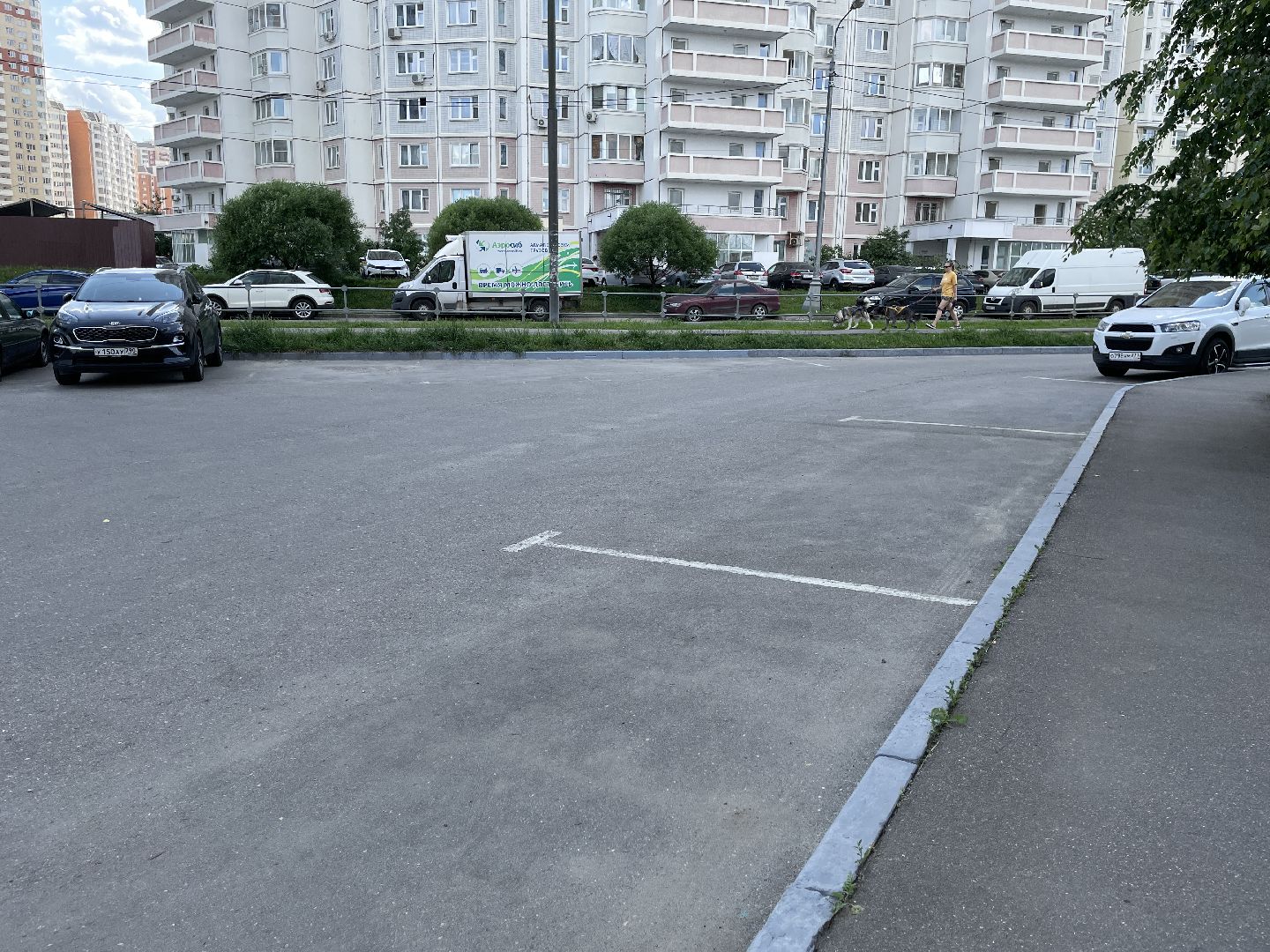 Бордюры, окраска, серый, Люберцы